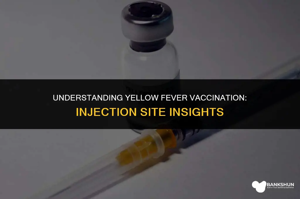 where do they inject yellow fever vaccination