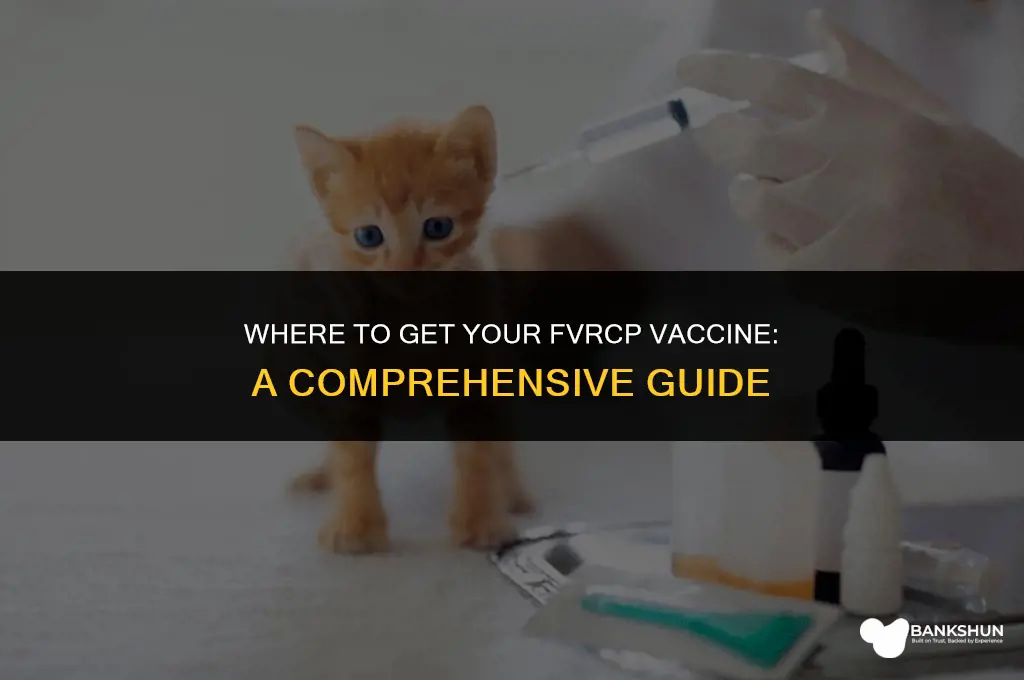 where do you administer the fvrcp vaccine