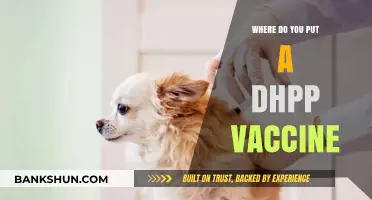 Where to Administer the DHPP Vaccine: A Comprehensive Guide