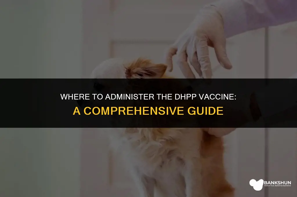 where do you put a dhpp vaccine