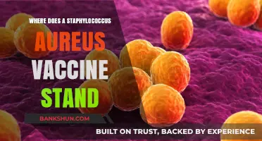 Advancements in Staphylococcus Aureus Vaccine Development: A Comprehensive Update