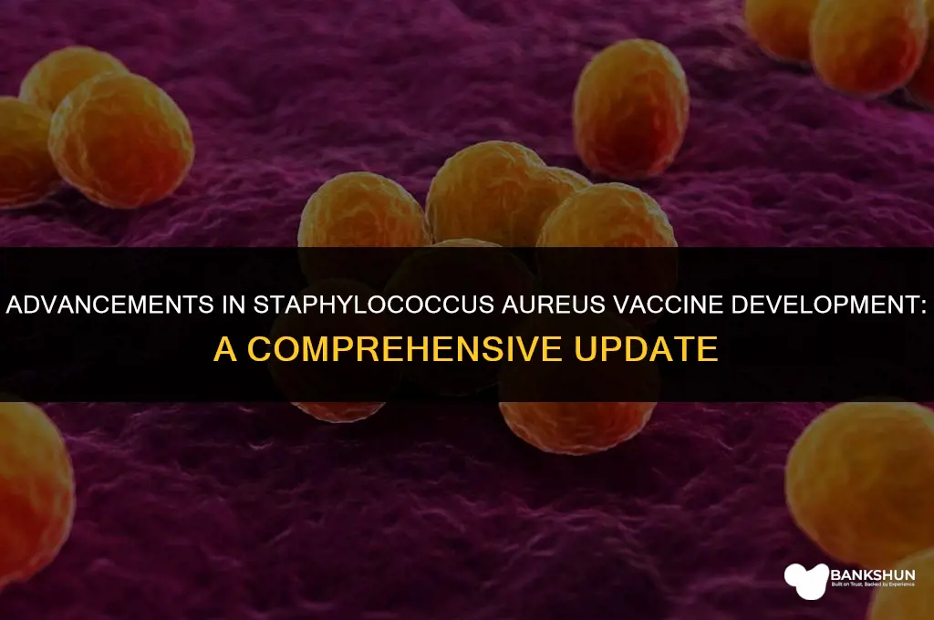 where does a staphylococcus aureus vaccine stand