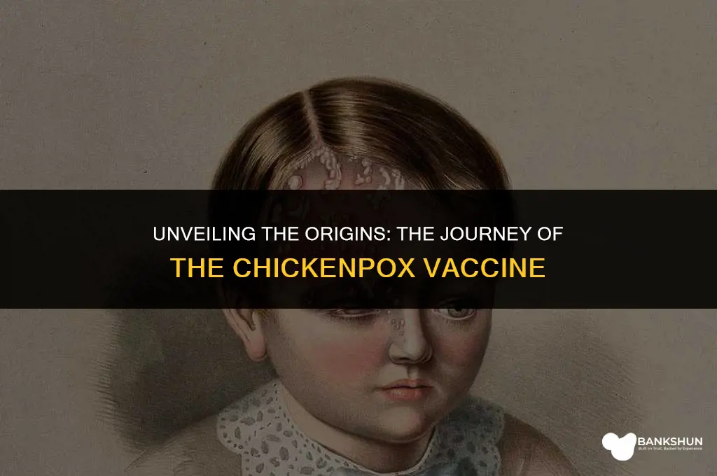 where does chicken pox vaccine come from