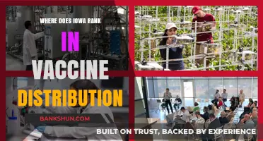 Iowa's Vaccine Distribution: Where Does the Hawkeye State Stand?
