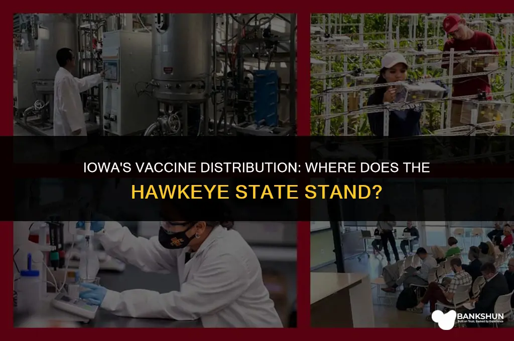 where does iowa rank in vaccine distribution