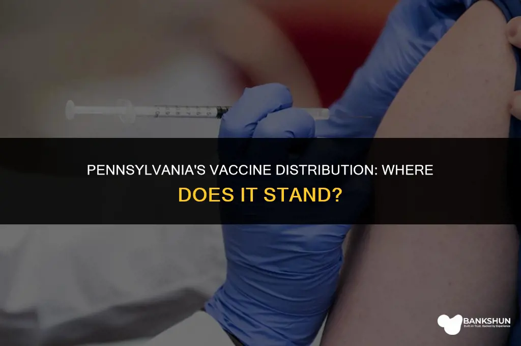 where does pennsylvania rank in vaccine distribution
