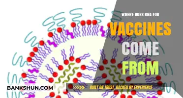 Unveiling the Origins: Where Does RNA for Vaccines Come From?