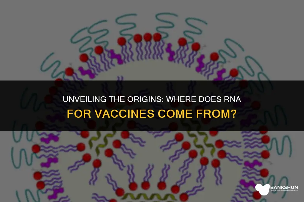 where does rna for vaccines come from