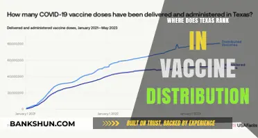 Texas Vaccine Distribution: Where Does the Lone Star State Stand?