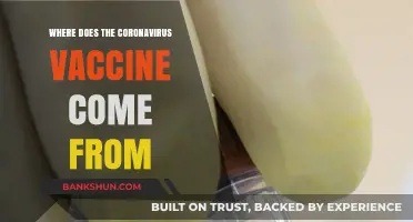 Tracing the Origins: A Journey to the Coronavirus Vaccine's Source