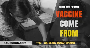 Unveiling the Origins: The Journey of the MMR Vaccine