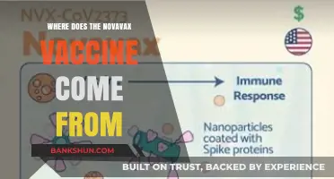Origins of the Novavax Vaccine: A Global Scientific Collaboration