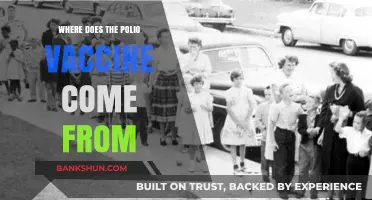 Tracing the Origins: The Journey of the Polio Vaccine