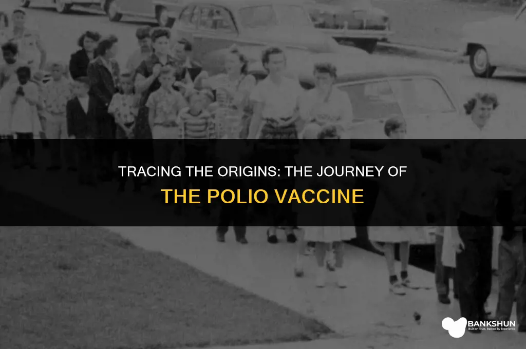 where does the polio vaccine come from