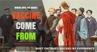 Unveiling the Origins: A Journey Through Rabies Vaccine History