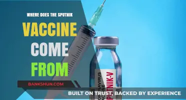 Origins of the Sputnik Vaccine: A Journey from Russia to Global Recognition