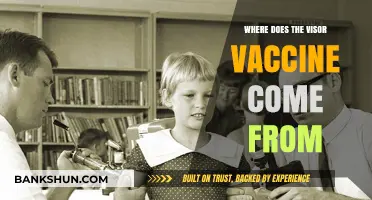 Unveiling the Origins: A Deep Dive into the Visor Vaccine's Journey