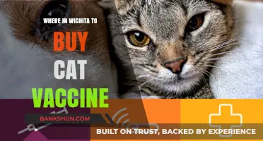 Where to Purchase Cat Vaccines in Wichita: A Comprehensive Guide