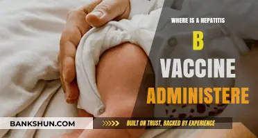 Understanding Hepatitis B Vaccine Administration: A Comprehensive Guide
