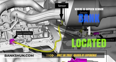 Locating the Oxygen Sensor: Bank 1