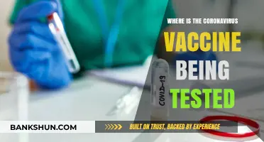 Global Quest for COVID-19 Vaccine: Testing Locations Unveiled