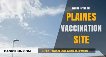 Where to Get Vaccinated in Des Plaines: A Comprehensive Guide