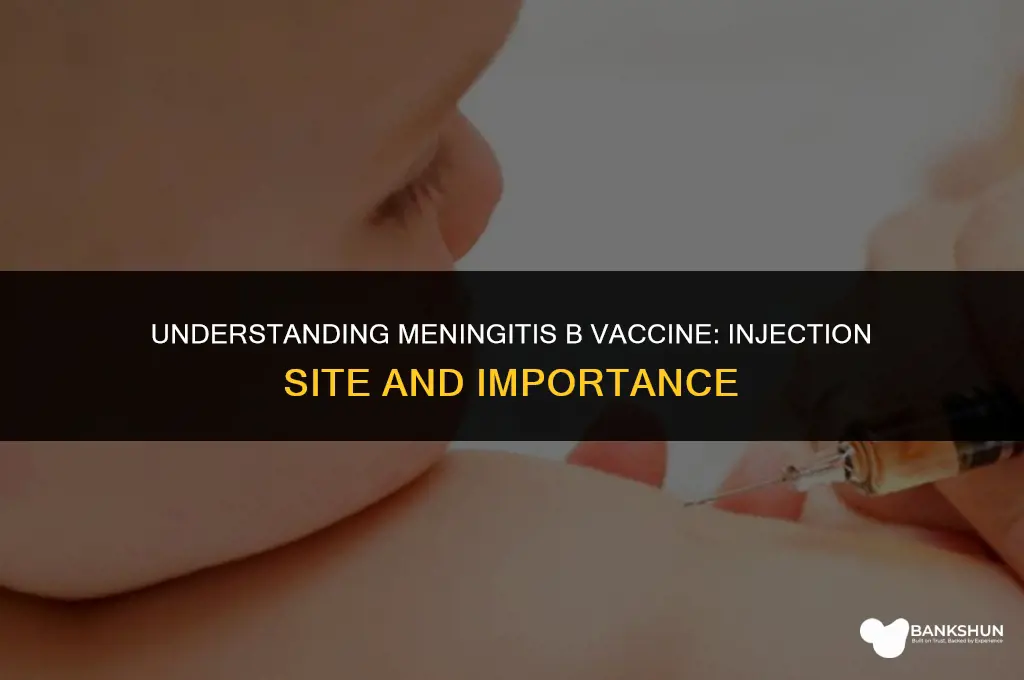 where is the meningitis b vaccine injected