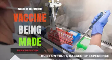 Decoding the Global Production Hubs of the Oxford Vaccine