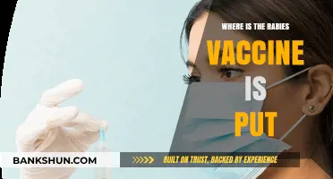 Understanding Rabies Vaccine Administration: A Comprehensive Guide