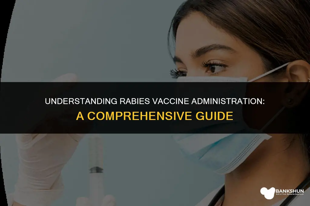 where is the rabies vaccine is put