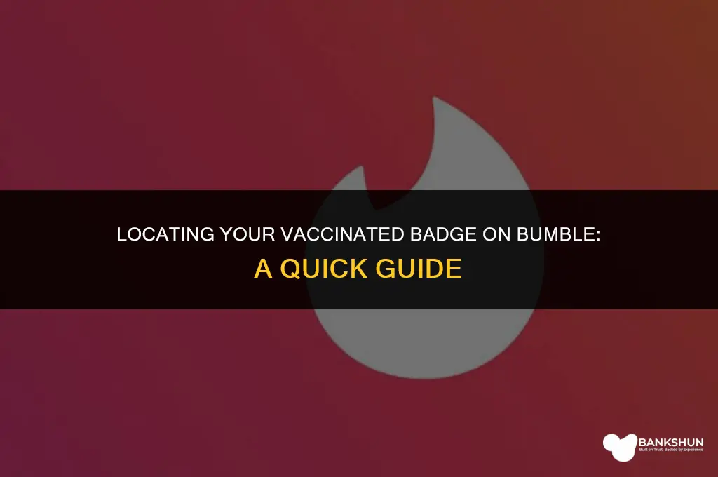 where is the vaccinated badge on bumble
