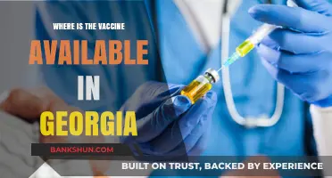 Where to Get Vaccinated in Georgia: A Comprehensive Guide