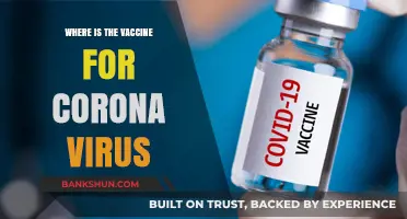 The Elusive COVID-19 Vaccine: Where Is It Now?