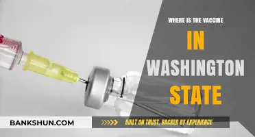 Vaccine Rollout in Washington State: Where to Get Your Shot