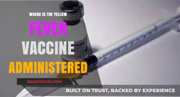 Where to Get Your Yellow Fever Vaccine: A Comprehensive Guide