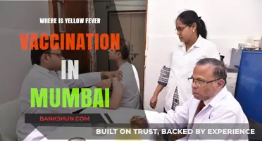Protect Yourself: Where to Get Yellow Fever Vaccination in Mumbai