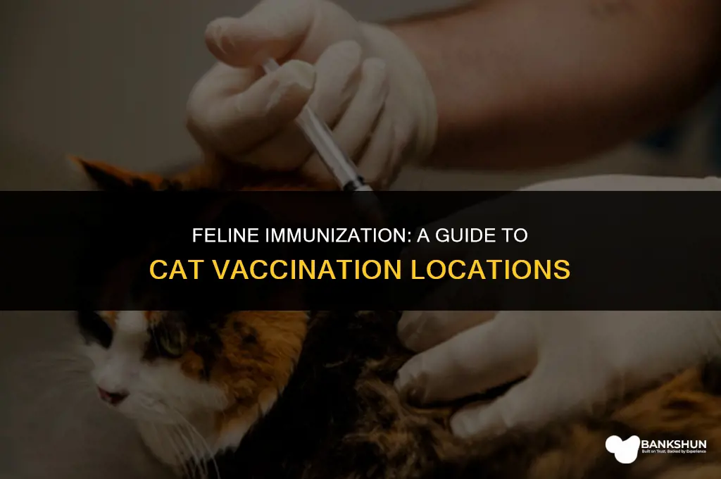 where on the body are cat vaccinations