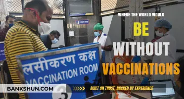 A World Without Vaccines: Unraveling the Impact on Global Health