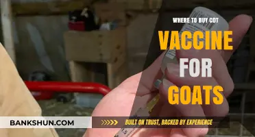 Where to Buy CDT Vaccine for Goats: A Comprehensive Guide