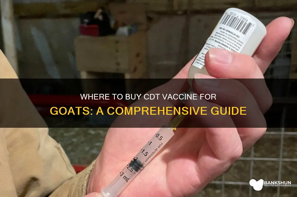 where to buy cdt vaccine for goats