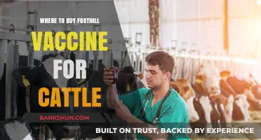 Where to Purchase Foothill Vaccine for Cattle: A Comprehensive Guide
