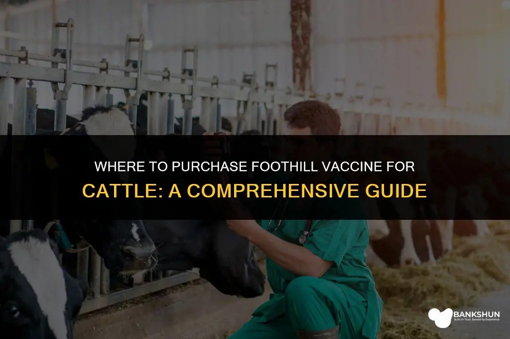 where to buy foothill vaccine for cattle