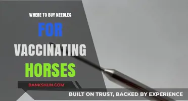 Where to Buy Needles for Vaccinating Horses: A Comprehensive Guide