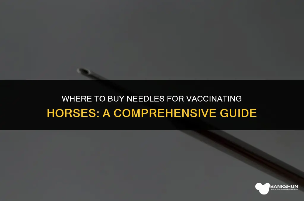 where to buy needles for vaccinating horses