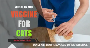 Where to Buy Rabies Vaccine for Cats: A Comprehensive Guide