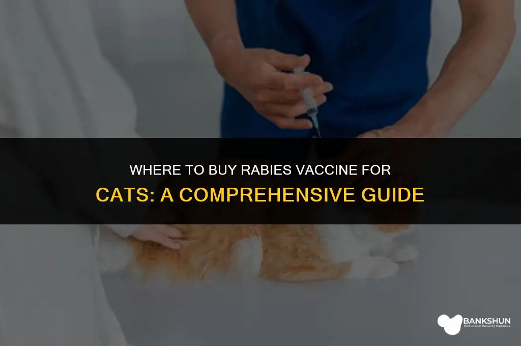 where to buy rabies vaccine for cats