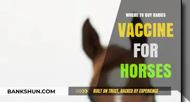 Where to Purchase Rabies Vaccines for Horses: A Comprehensive Guide