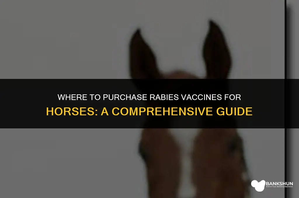 where to buy rabies vaccine for horses