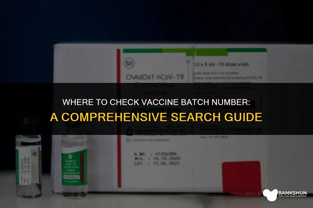 where to check vaccine batch number search