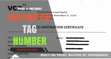 Locating Your Pet's Rabies Vaccination Tag Number: A Comprehensive Guide